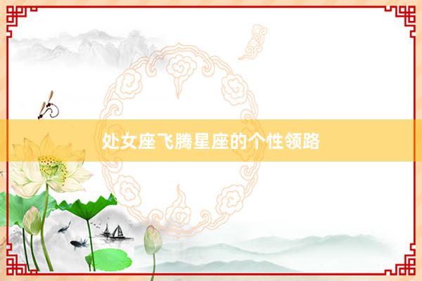 处女座飞腾星座的个性领路