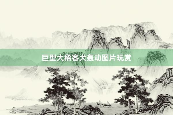 巨型大稀客犬轰动图片玩赏