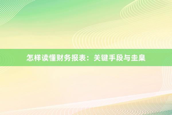 怎样读懂财务报表：关键手段与圭臬